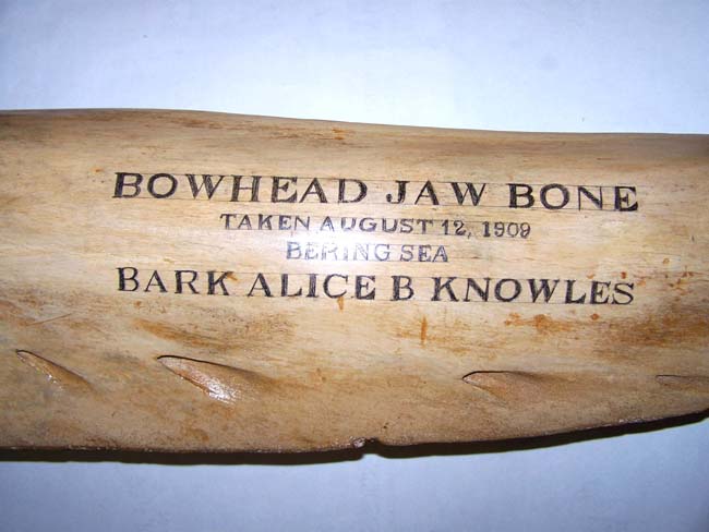 A Fine and Rare Whale's Jawbone Beautifully Scrimshawed and dated 1909.